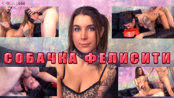Russian Casting Slut Begs to Be Treated Like a Filthy Dog Bitch Petplay